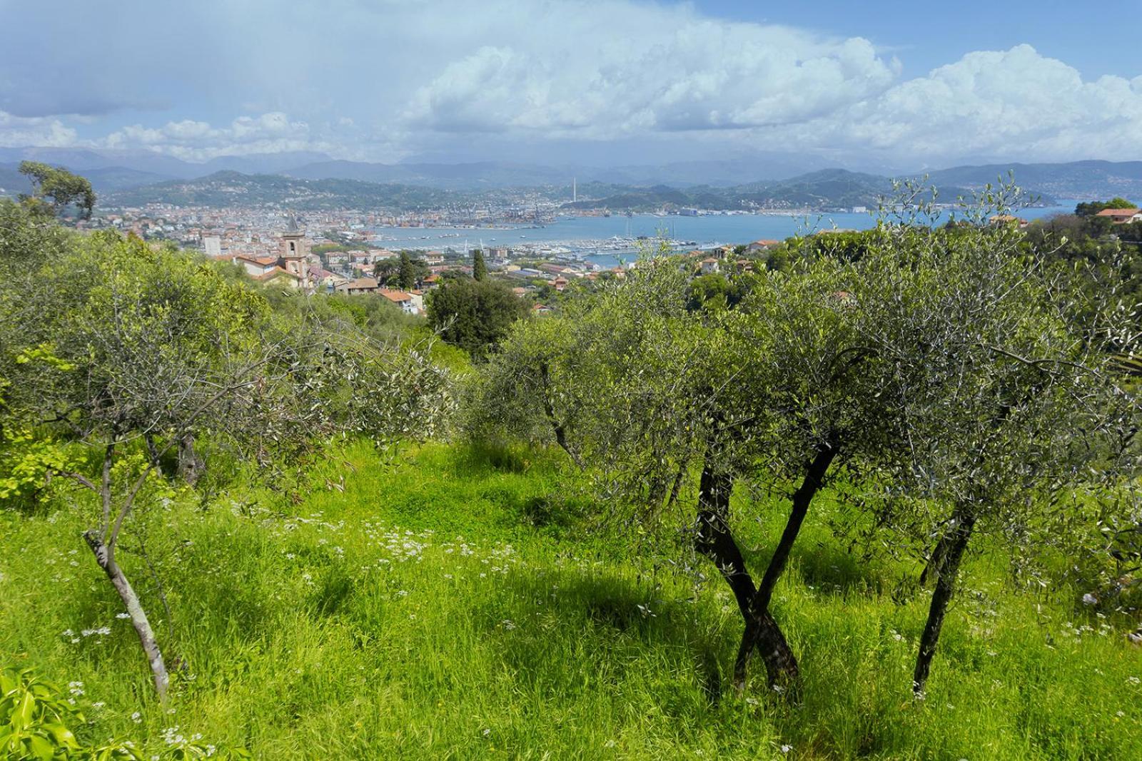 Gli Ulivi Sul Golfo E Le 5 Terre Apartment La Spezia Bagian luar foto