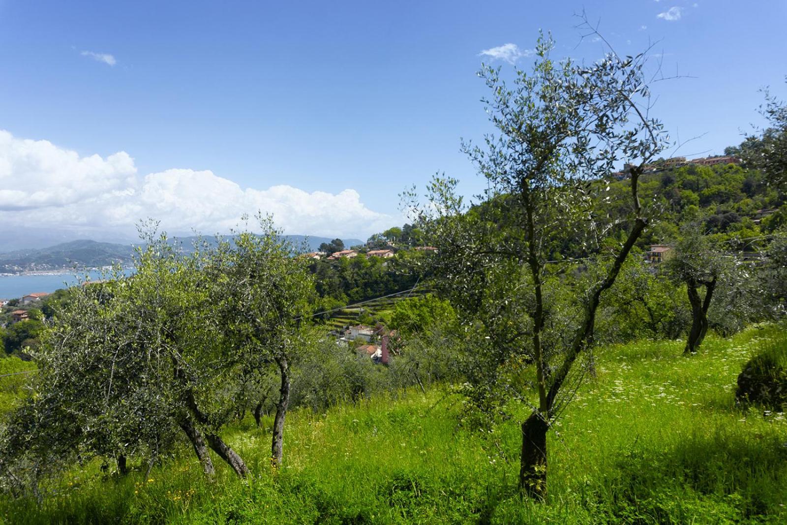 Gli Ulivi Sul Golfo E Le 5 Terre Apartment La Spezia Bagian luar foto