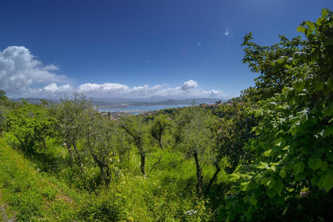 Gli Ulivi Sul Golfo E Le 5 Terre Apartment La Spezia Bagian luar foto